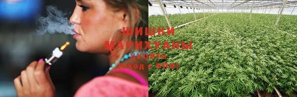 mdpv Магас