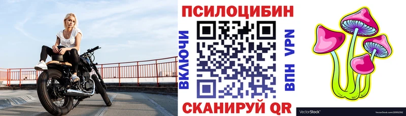 Псилоцибиновые грибы Cubensis  Новотроицк 